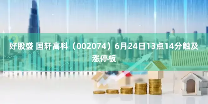 好股盛 国轩高科（002074）6月24日13点14分触及涨停板