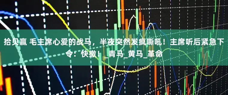 拾贝赢 毛主席心爱的战马，半夜突然发疯嘶吼！主席听后紧急下令：快撤！_青马_黄马_革命