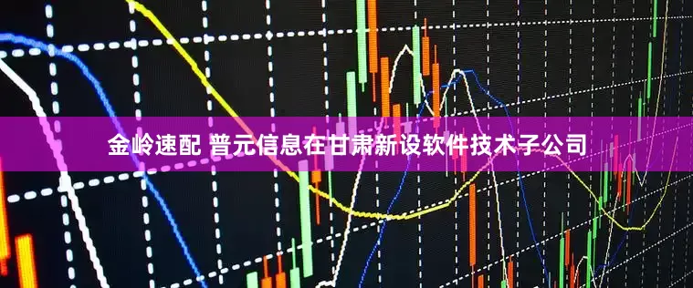金岭速配 普元信息在甘肃新设软件技术子公司
