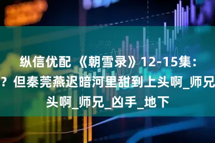 纵信优配 《朝雪录》12-15集：案子没悬念？但秦莞燕迟暗河里甜到上头啊_师兄_凶手_地下