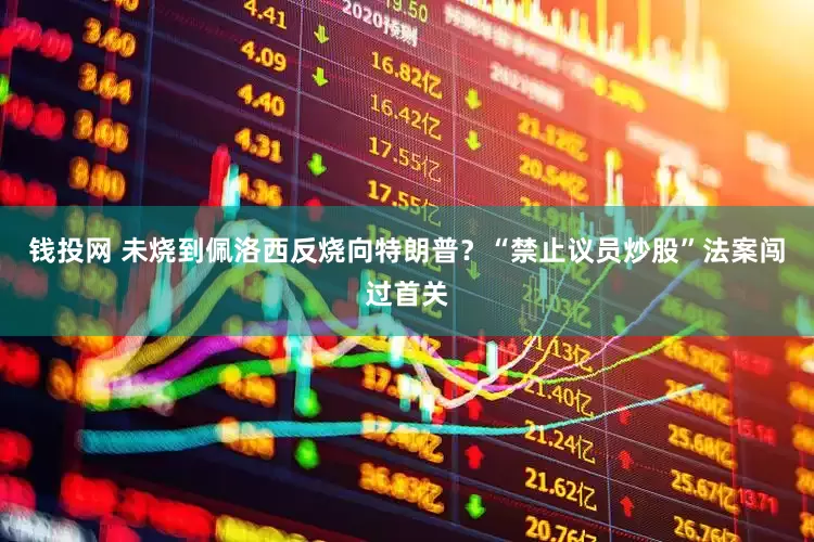 钱投网 未烧到佩洛西反烧向特朗普？“禁止议员炒股”法案闯过首关